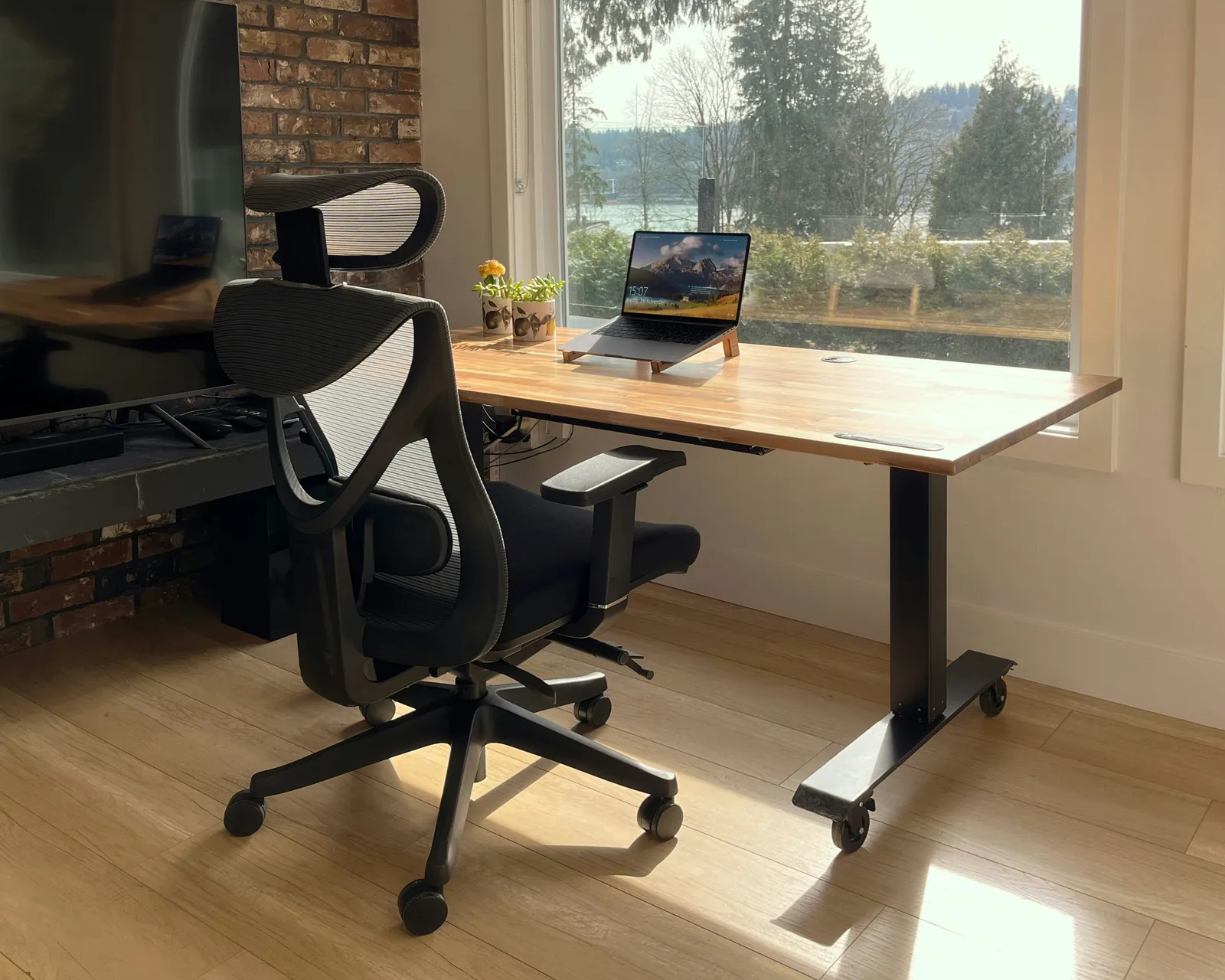 Sunlit home office desk overlooking a wooded hillside — abstract brand imagery