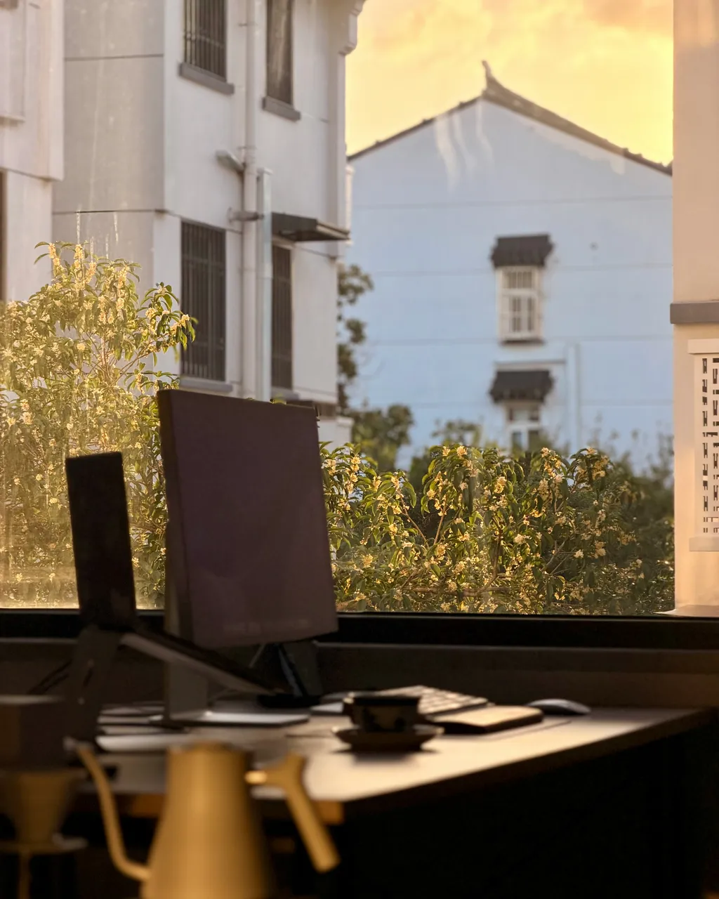 A closed journal on a windowsill lit by golden-hour light